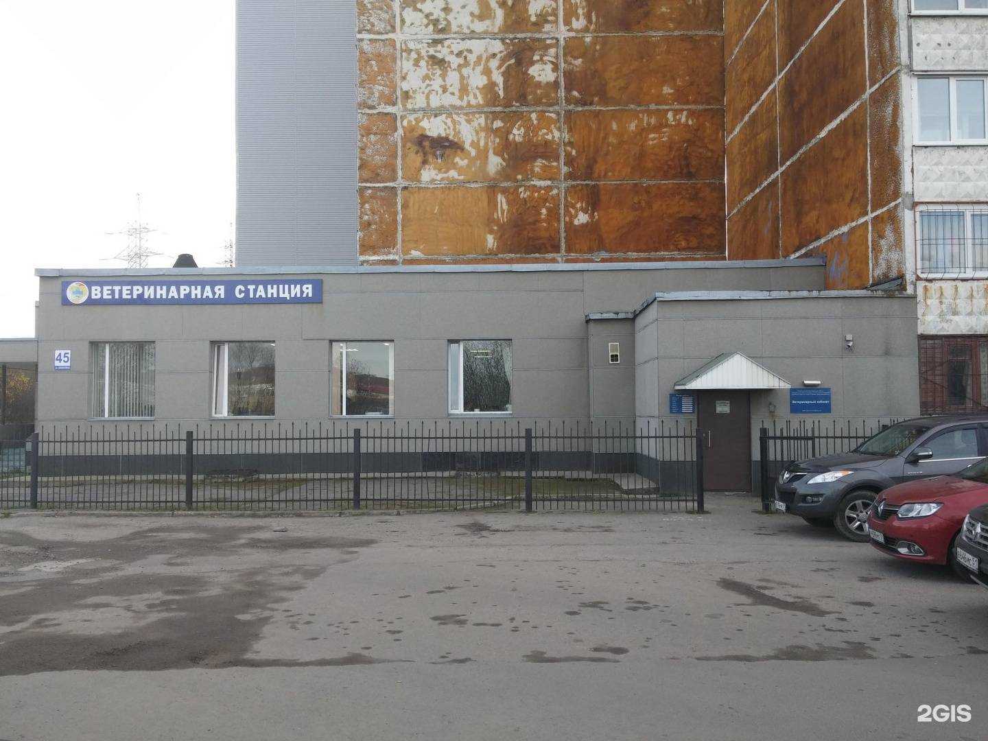 Отзывы на компанию Мурманская областная станция по борьбе с болезнями животных в г. Мурманск c фото