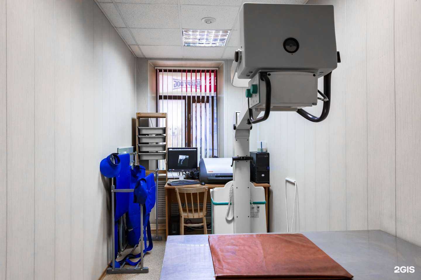 Отзывы на компанию КотОся в Реутове c фото