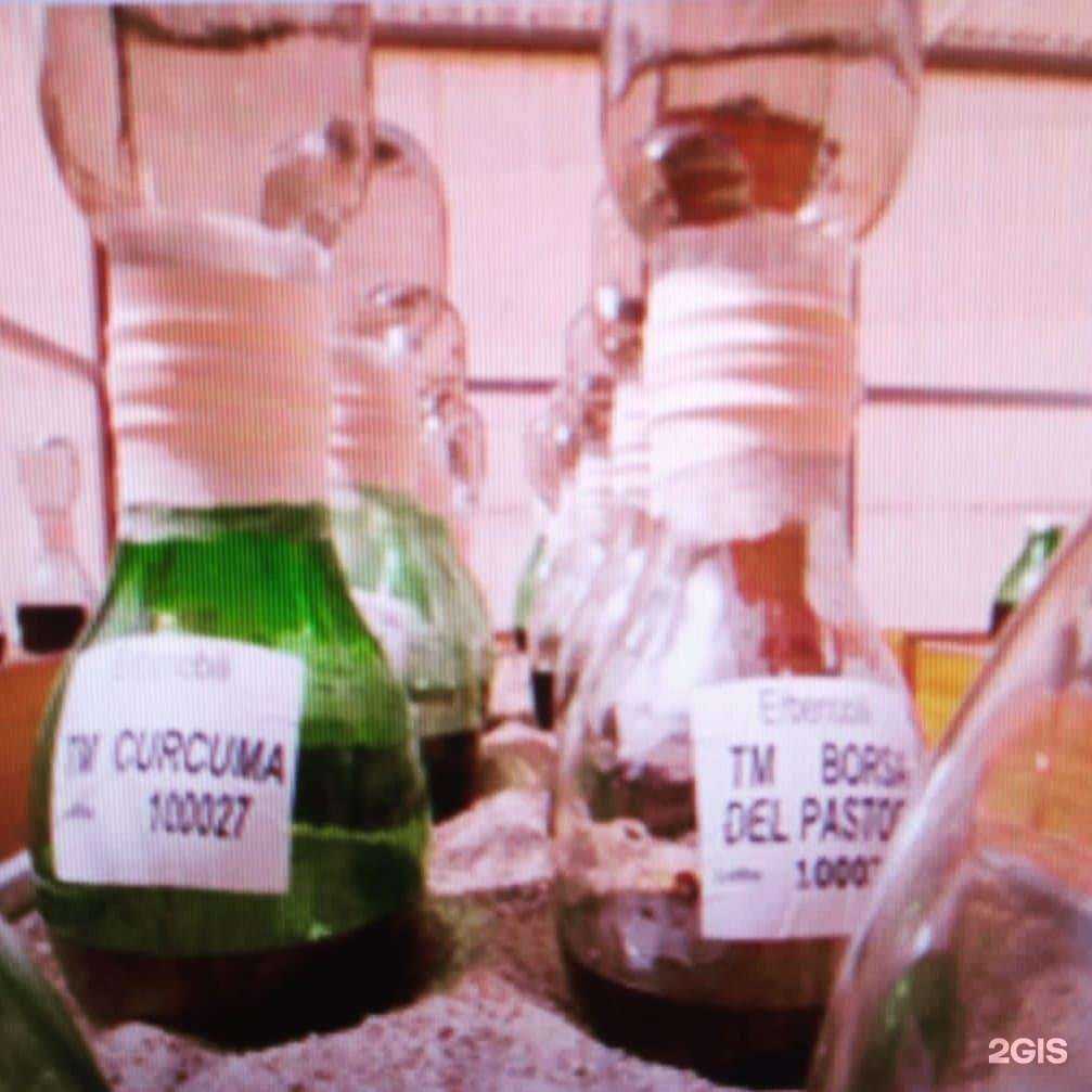 Отзывы на компанию Cтудия Елены Неустроевой в г. Екатеринбург c фото