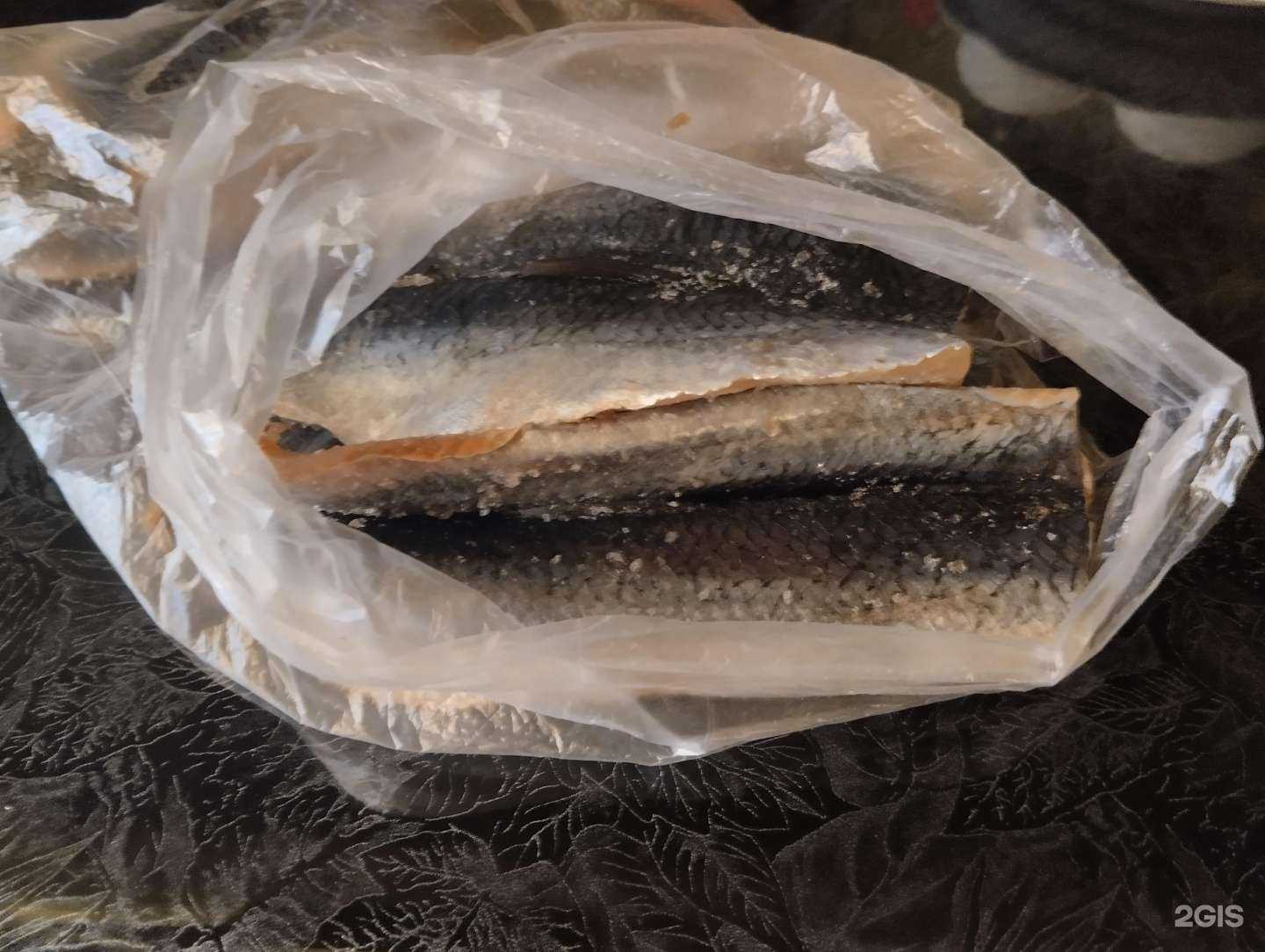 Отзывы на компанию Прибой в г. Барнаул c фото