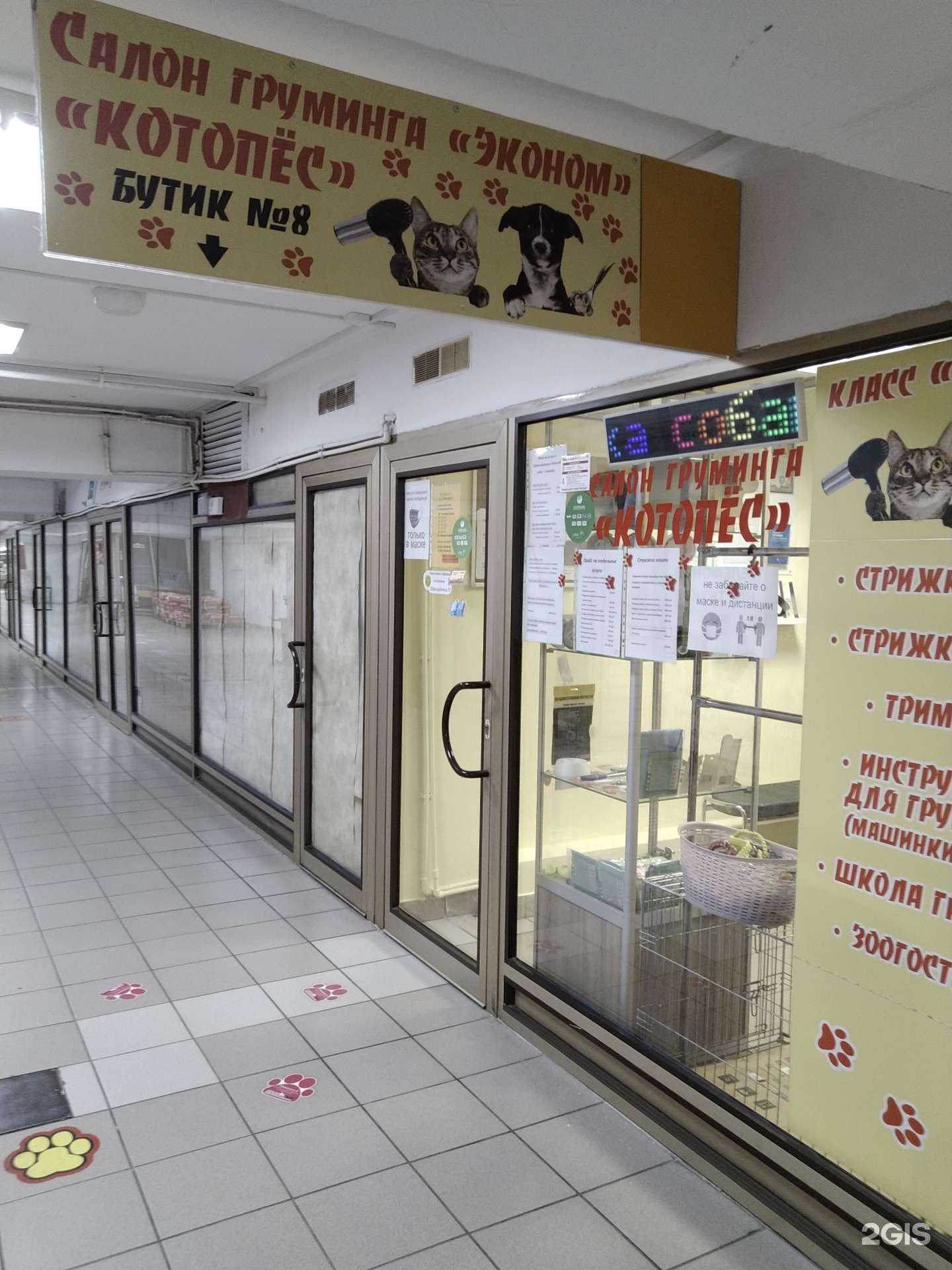 Отзывы на компанию Котопес в Подольске c фото