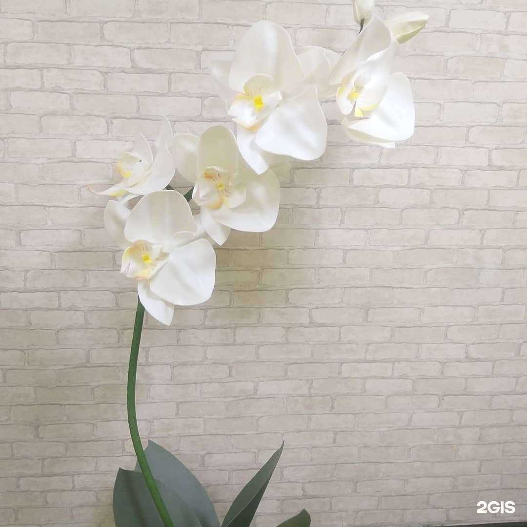 Отзывы на компанию Творить просто в Красноярске c фото