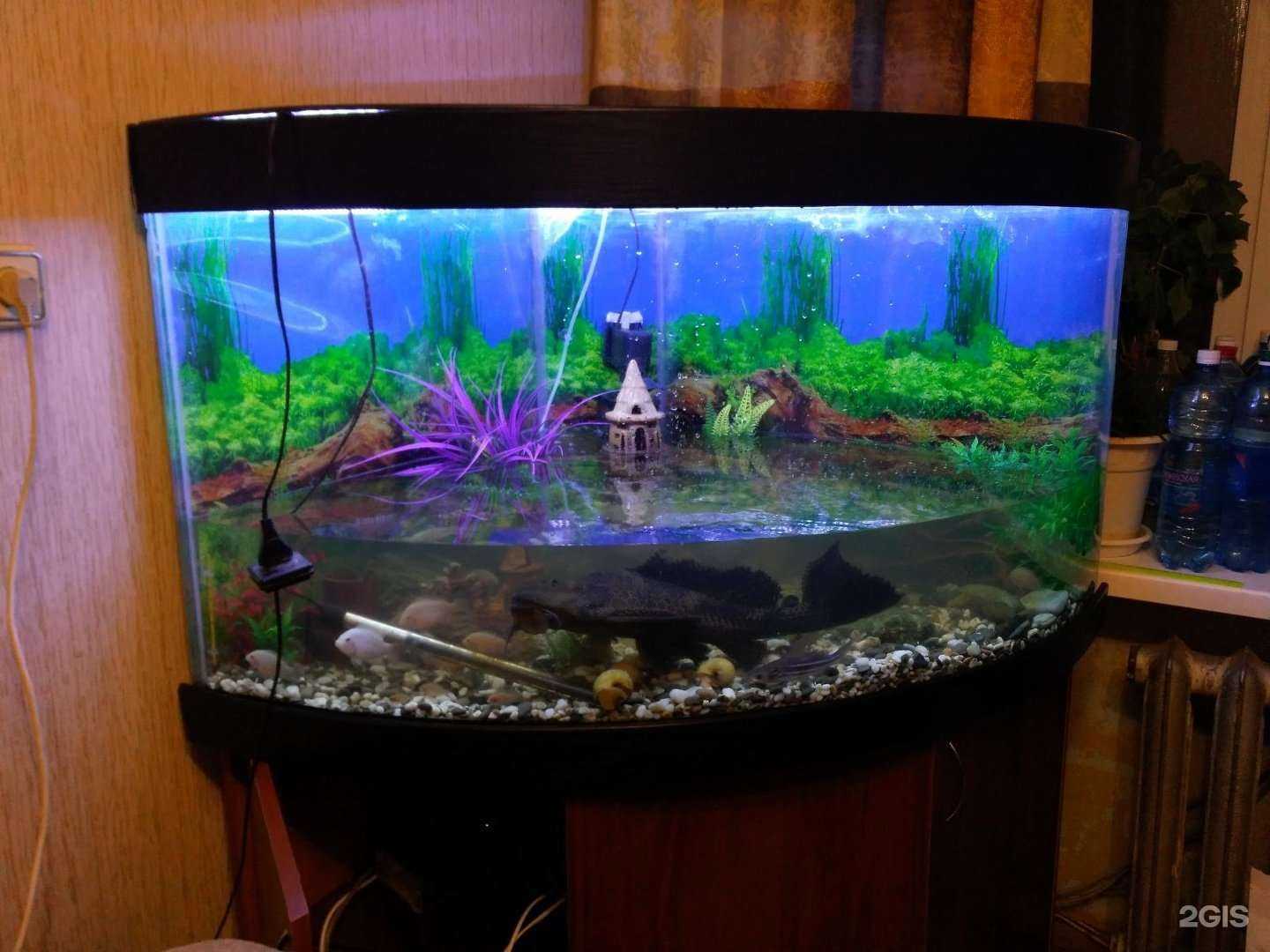 Отзывы на компанию Стеклоспектр в Омске c фото