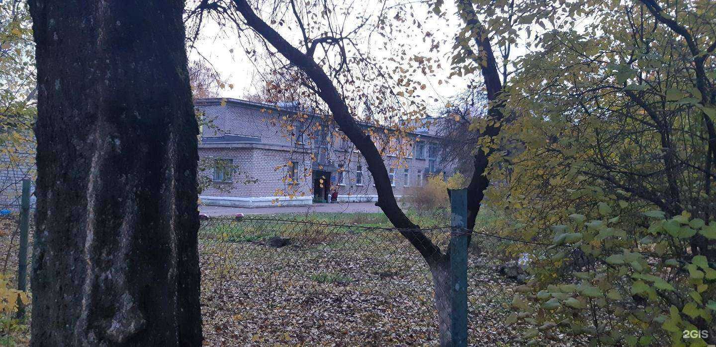 Отзывы на компанию Детский сад №11 общеразвивающего вида с приоритетным осуществлением социально-личностного развития детей в Пскове c фото