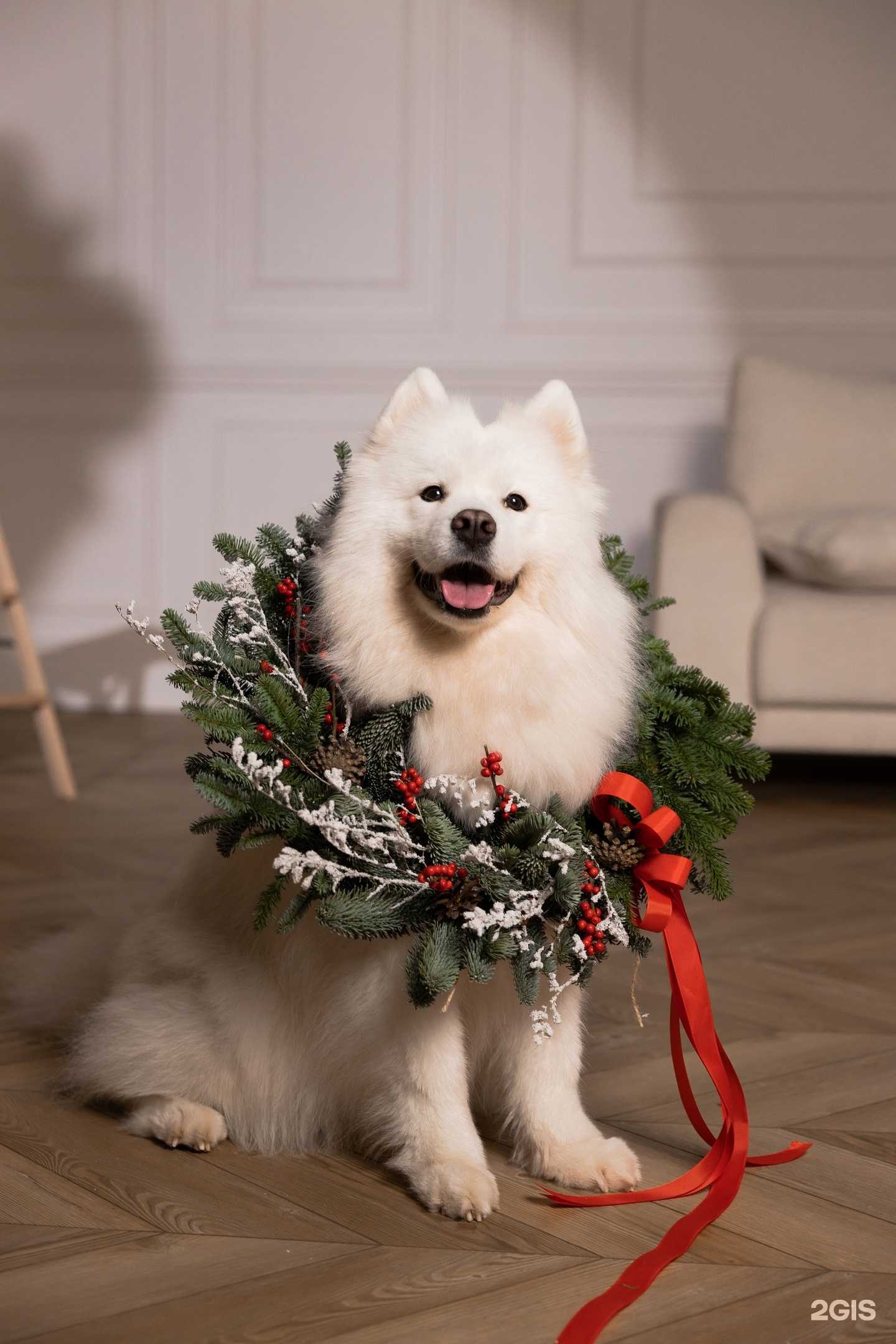 Отзывы на компанию Love Button в г. Сургут c фото
