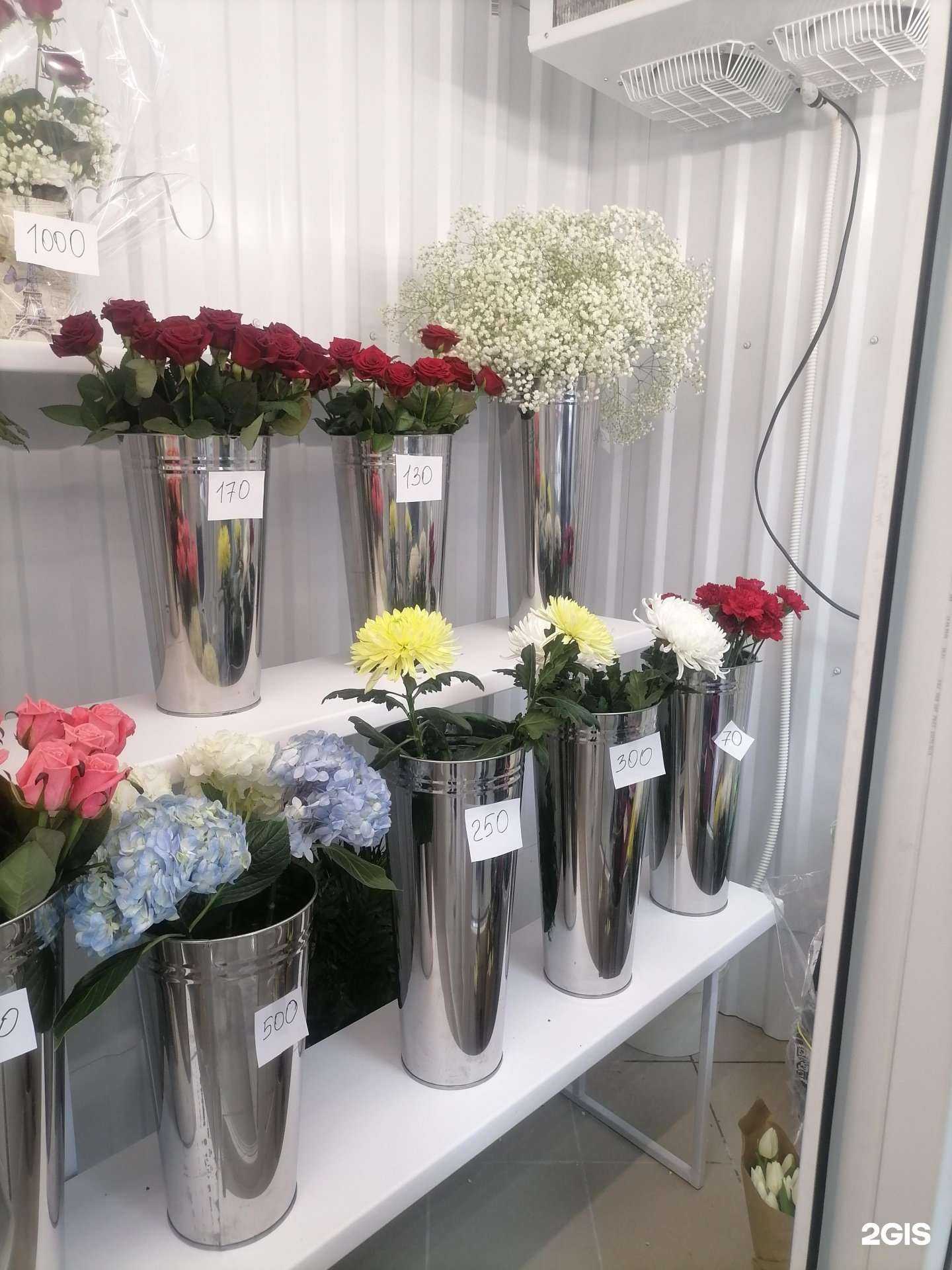 Отзывы на компанию Садовод в г. Кострома c фото