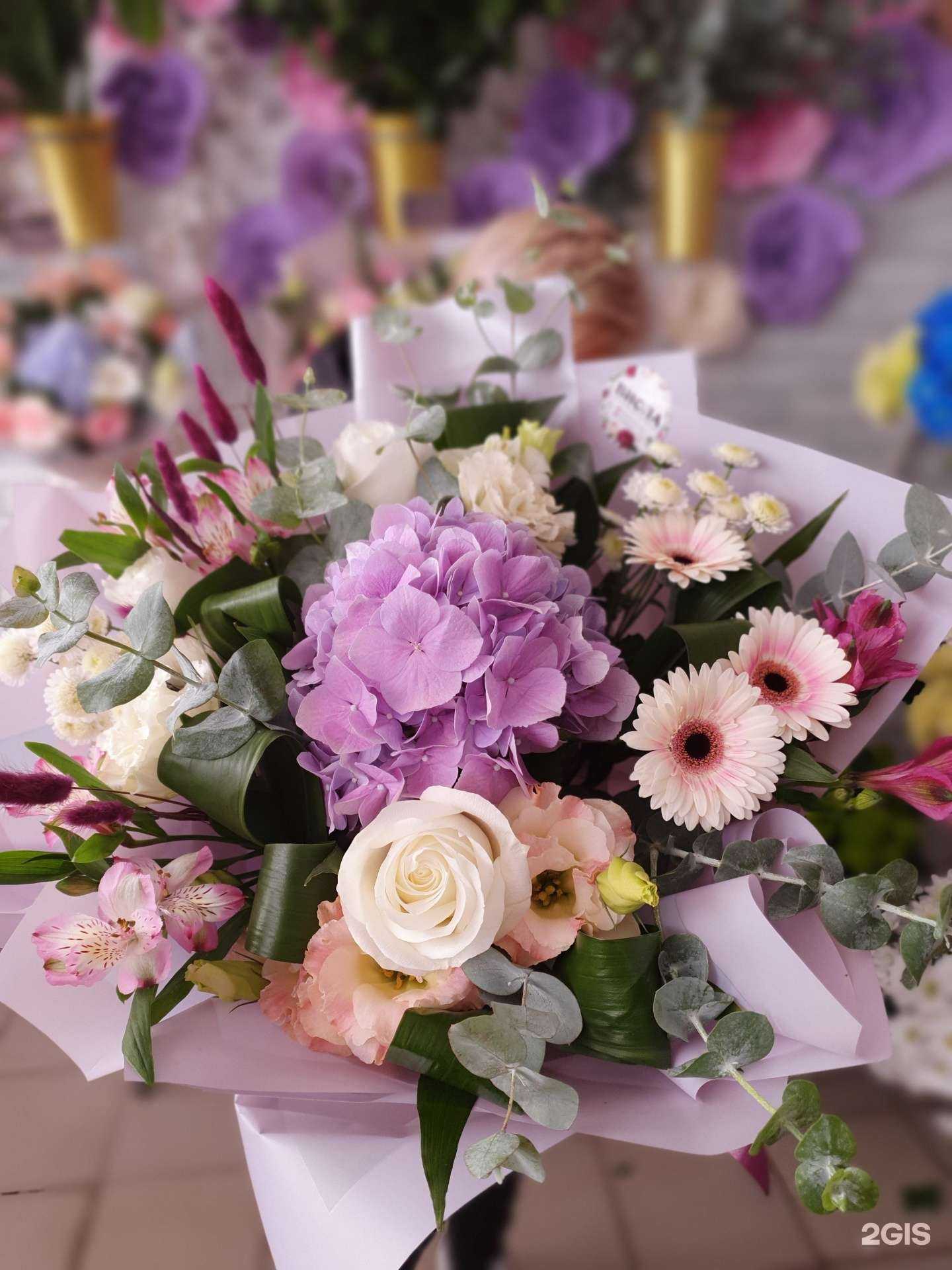 Отзывы на компанию Виола в Воронеже c фото