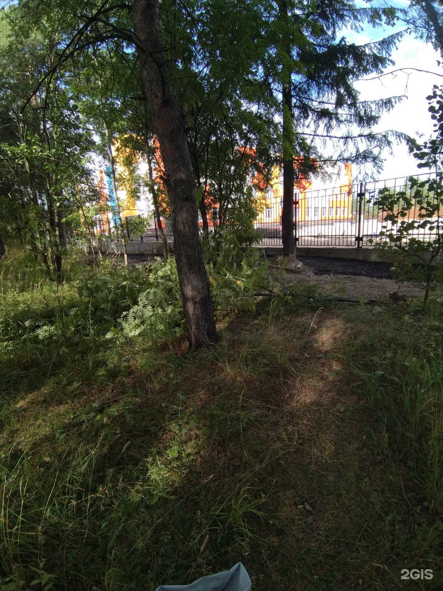 Отзывы на компанию Золотой ключик в Петрозаводске c фото