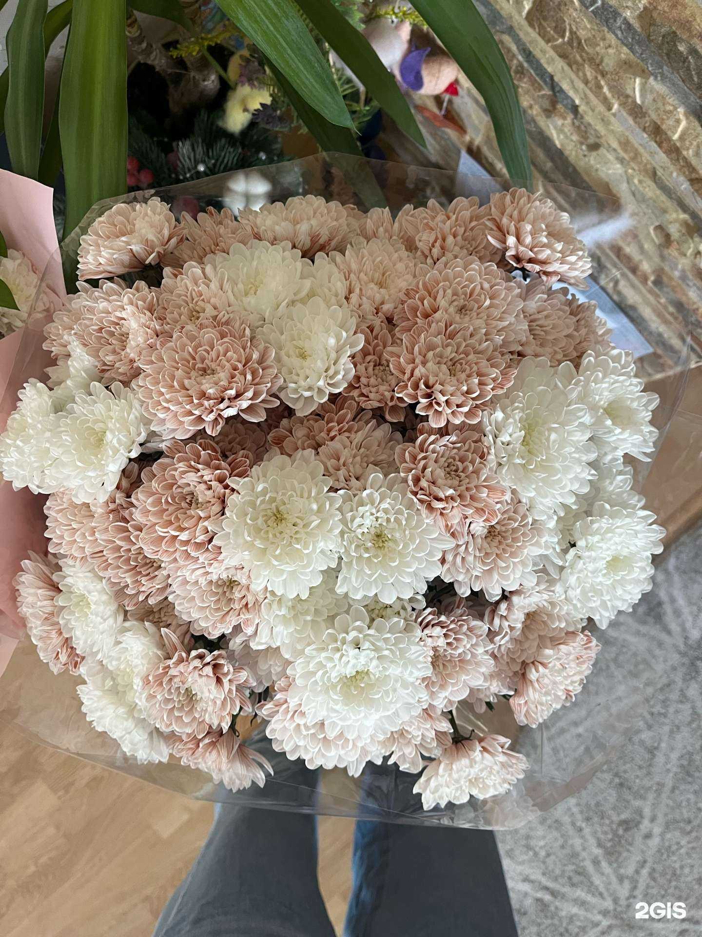 Отзывы на компанию New Расцвет в г. Ангарск c фото