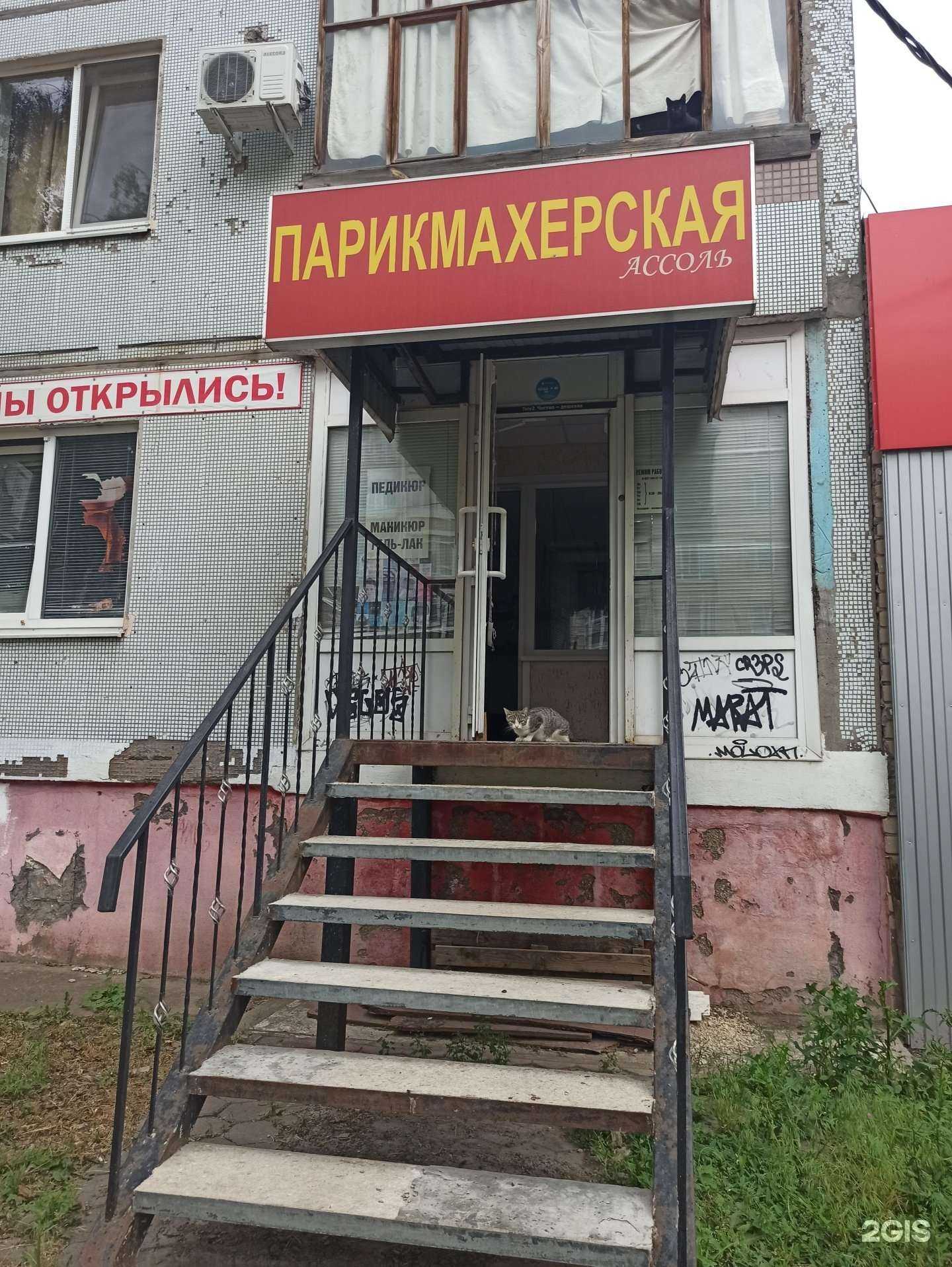 Отзывы на компанию Ассоль в Балакове c фото