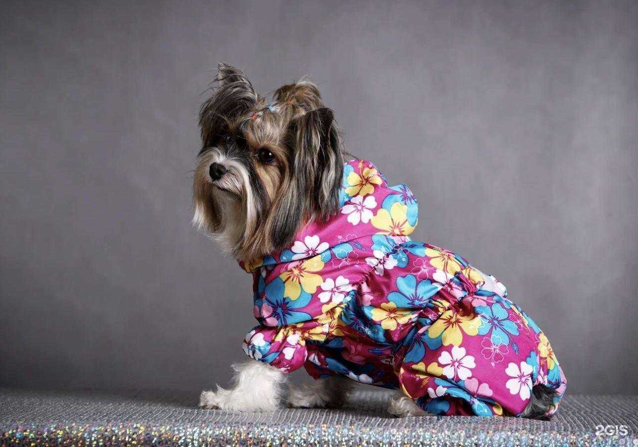 Отзывы на компанию Let’s PRINT La в Калининграде c фото