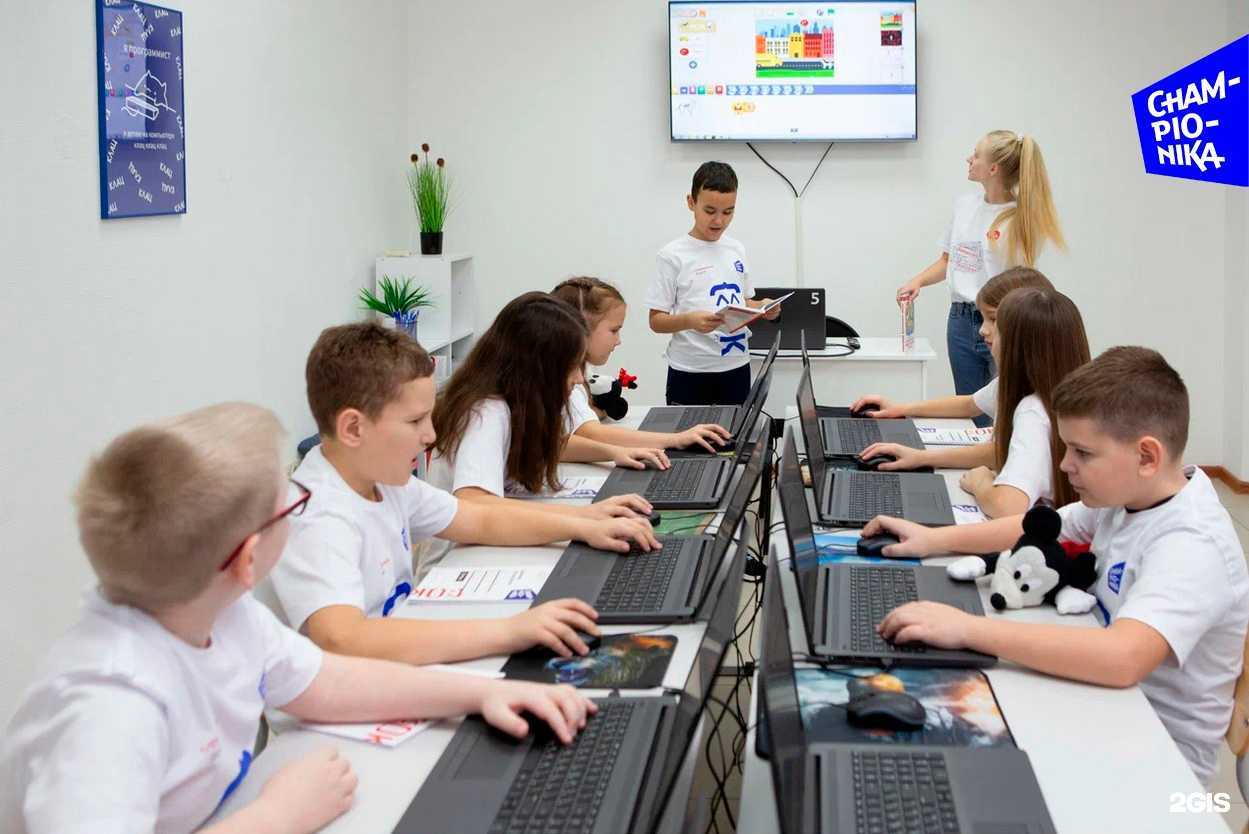 Отзывы на компанию Чемпионика Digital в Пензе c фото