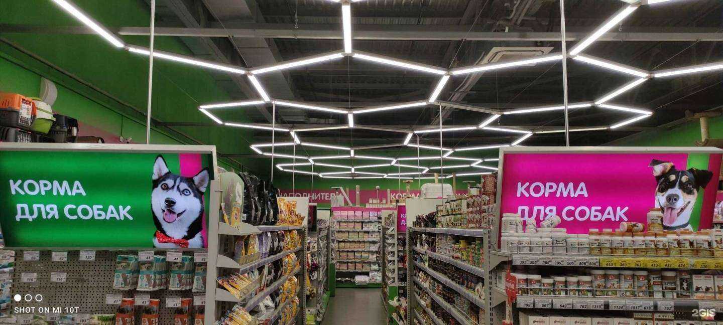 Отзывы на компанию Белый кролик в Владивостоке c фото