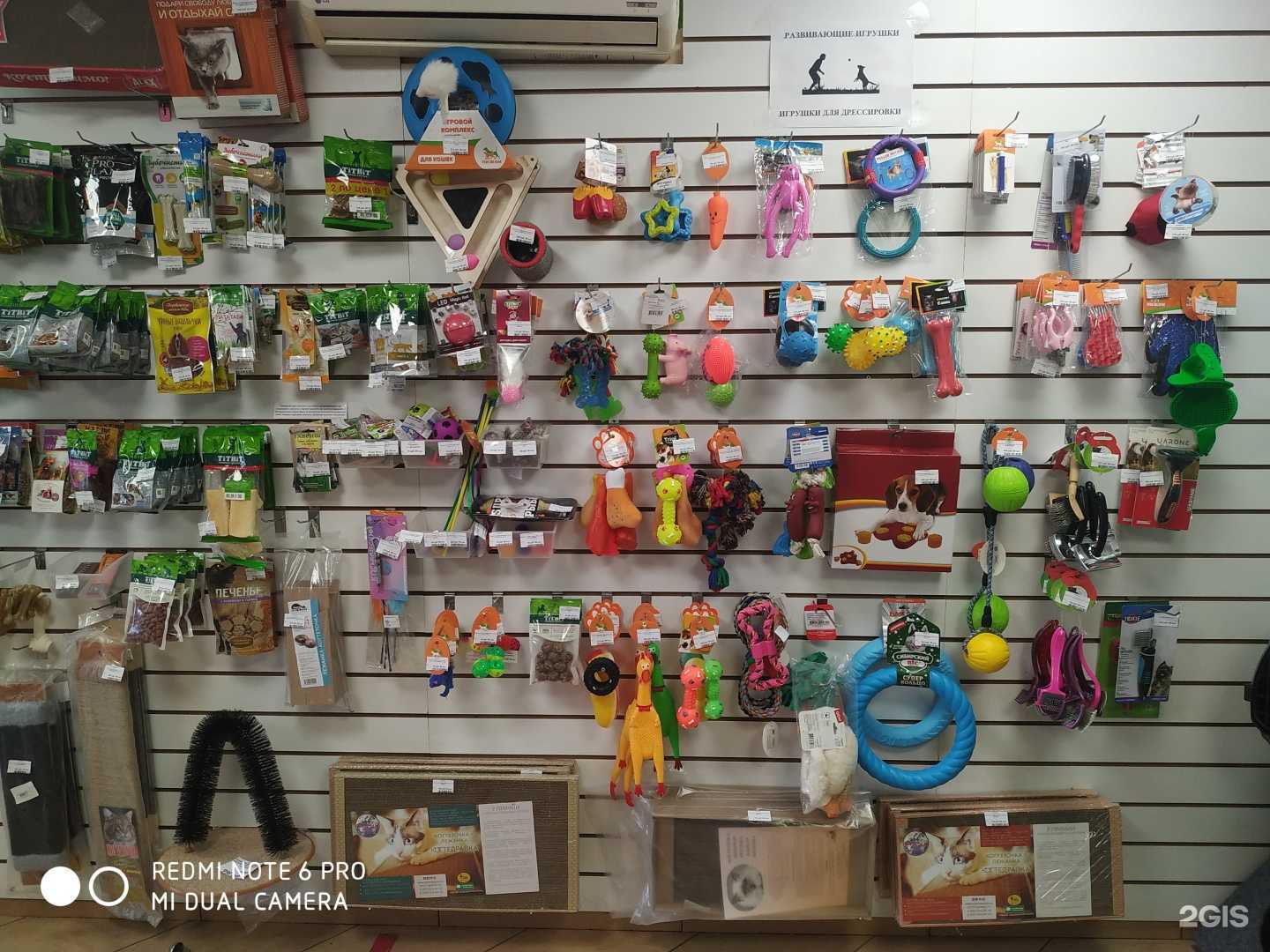 Отзывы на компанию Лапусик в г. Абакан c фото