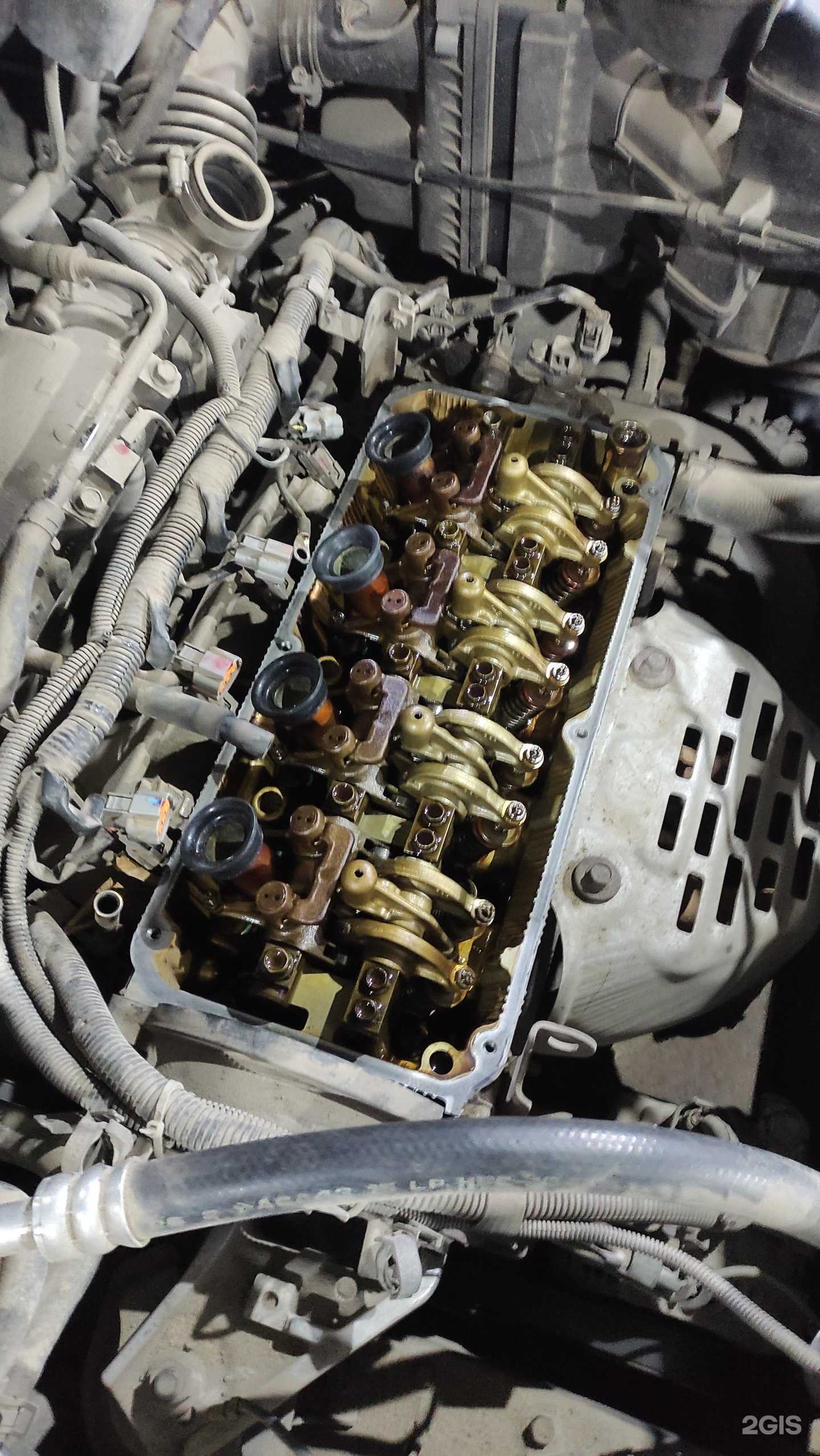 Отзывы на компанию Doberman nsk в Новосибирске c фото