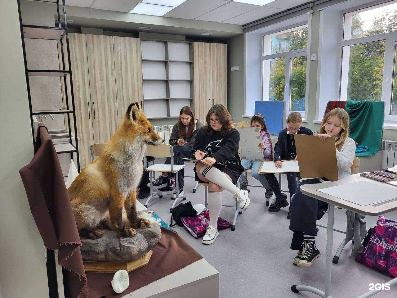 Отзывы на компанию Детская художественная школа им. Е.Н. Широкова в Перми c фото - фотография 2 из 2