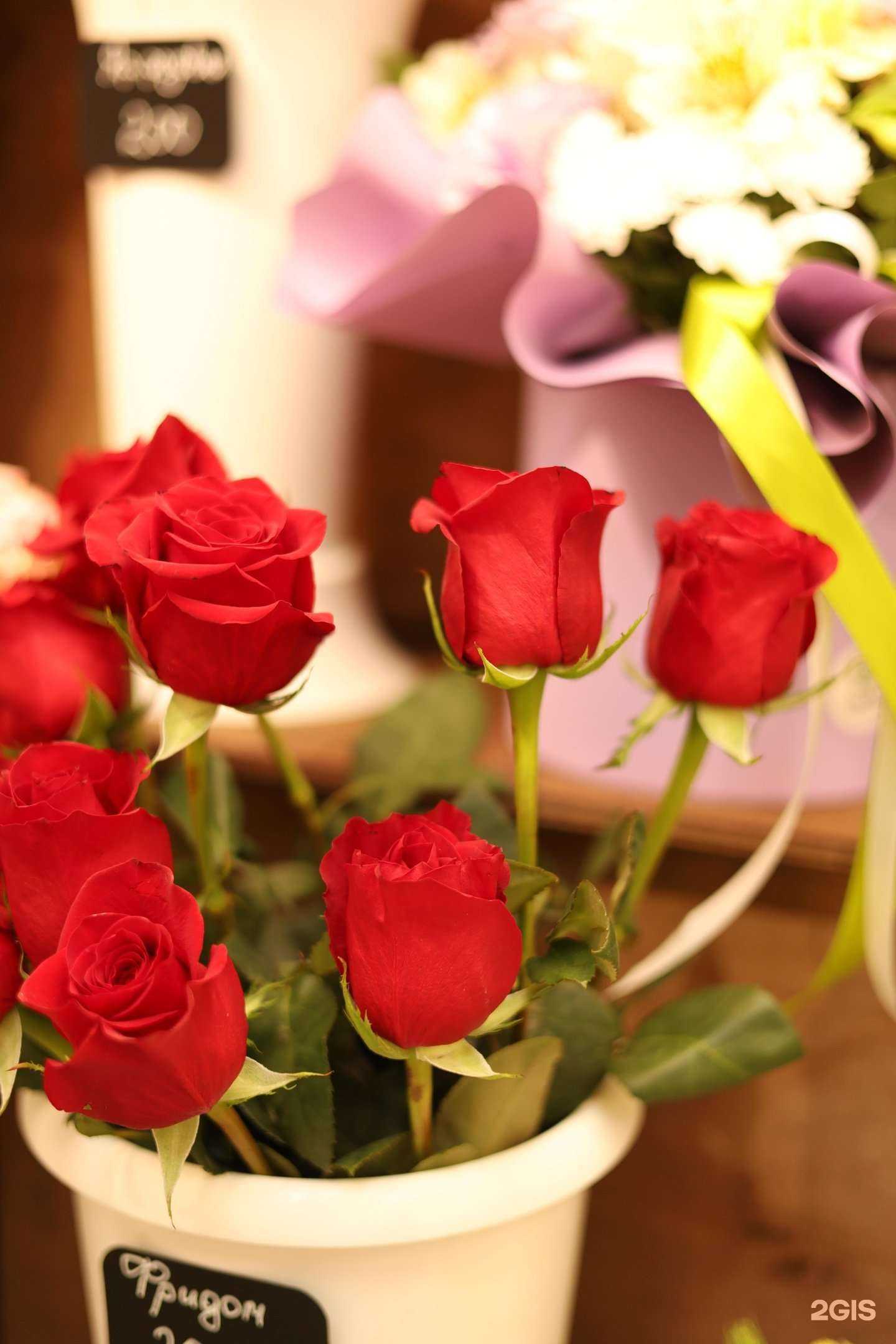 Отзывы на компанию Art Флора в Новотроицке c фото