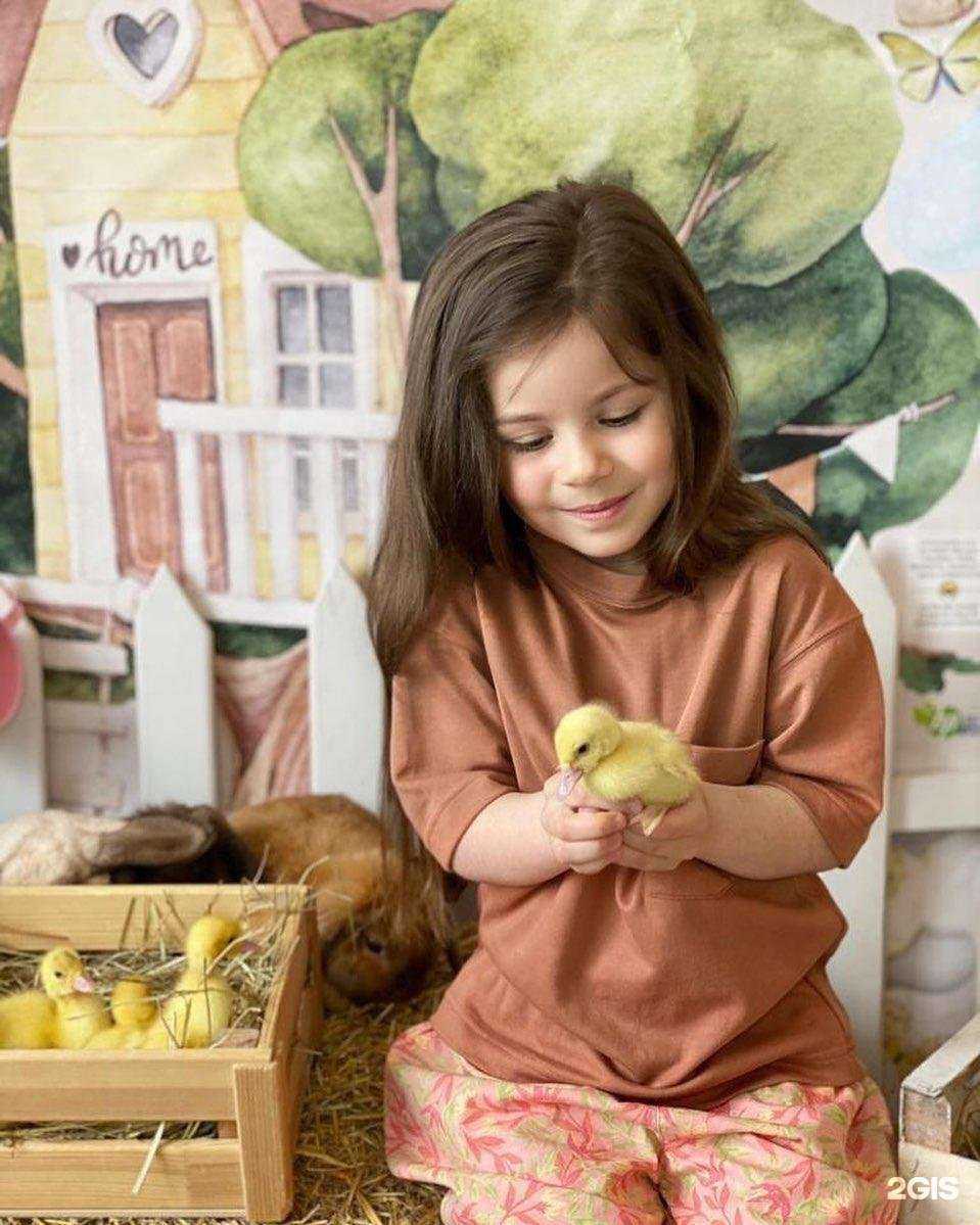 Отзывы на компанию Оранжевое детство в г. Щёлково c фото