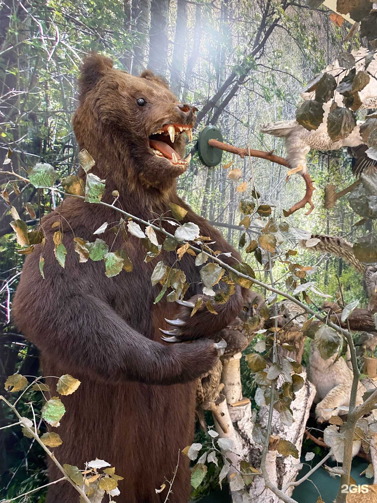 Отзывы на компанию Искитимский городской историко-художественный музей в Искитиме c фото