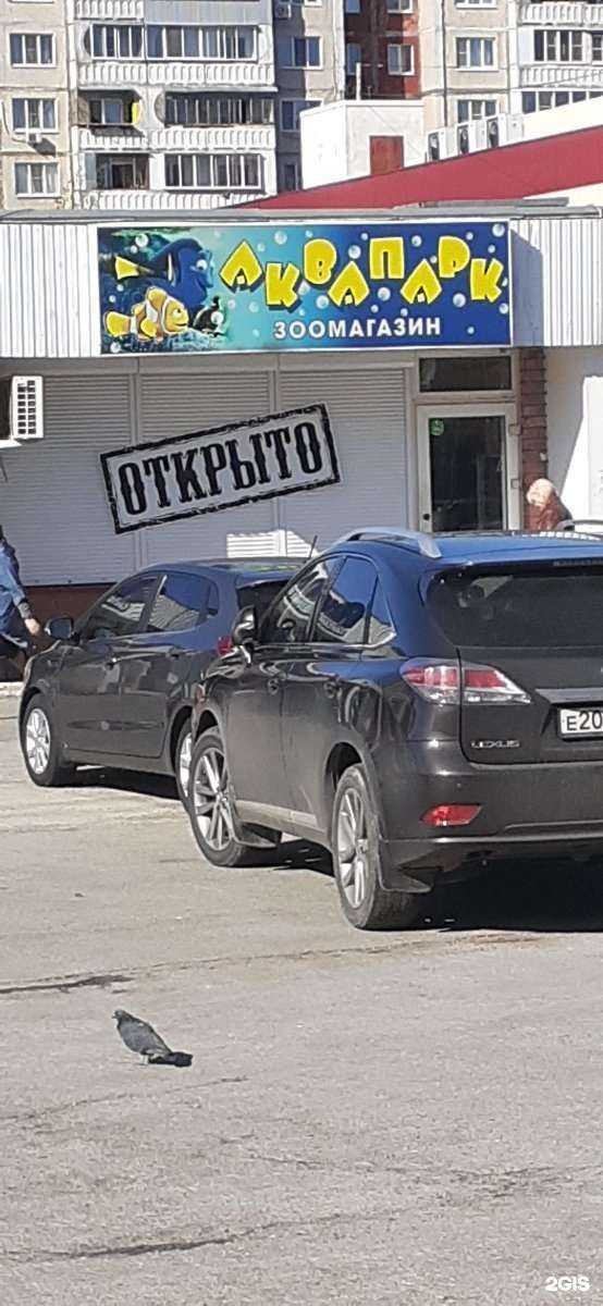 Отзывы на компанию Аквапарк в Липецке c фото