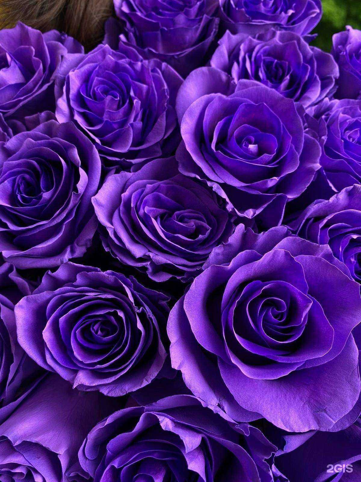 Отзывы на компанию Студия цветов в Петрозаводске c фото