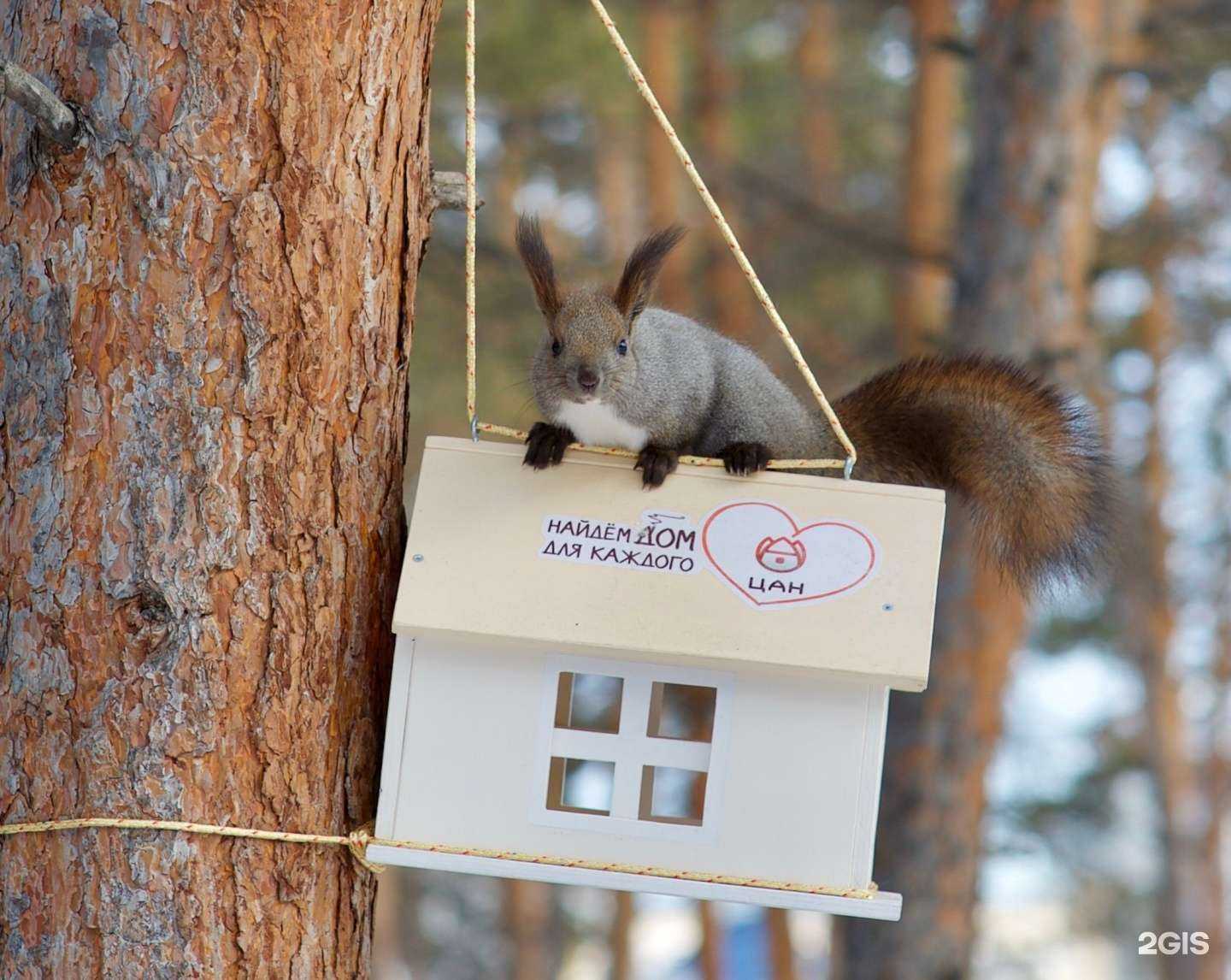 Отзывы на компанию Центральное агентство недвижимости в Якутске c фото