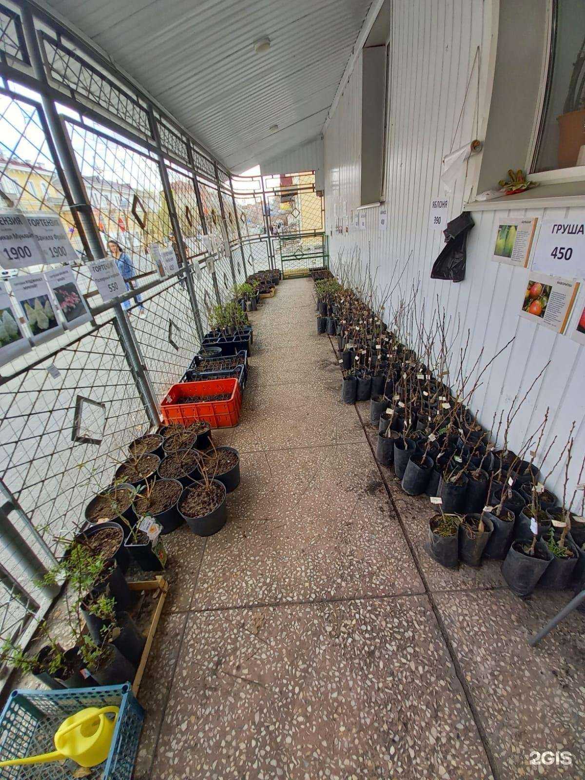 Отзывы на компанию Садовник в г. Курган c фото