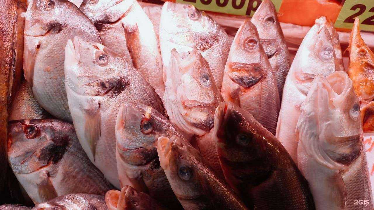 Отзывы на компанию Рыбный гастроном в Самаре c фото