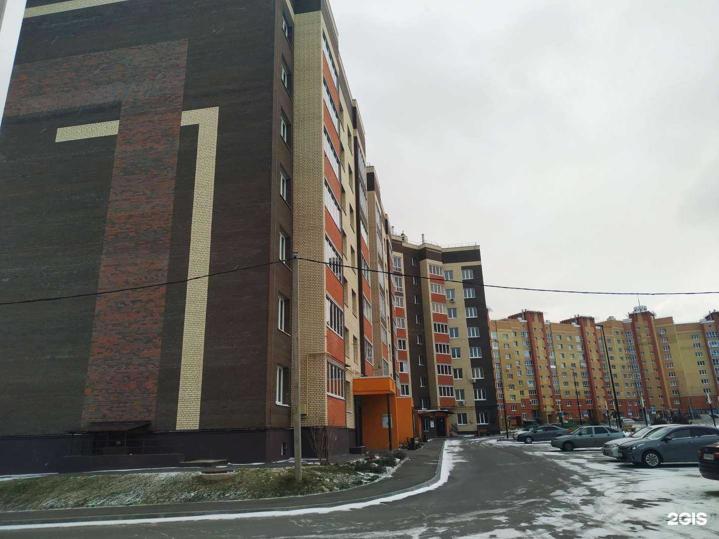 Отзывы на компанию Cлон и Птичка в Чебоксарах c фото - фотография 2 из 2