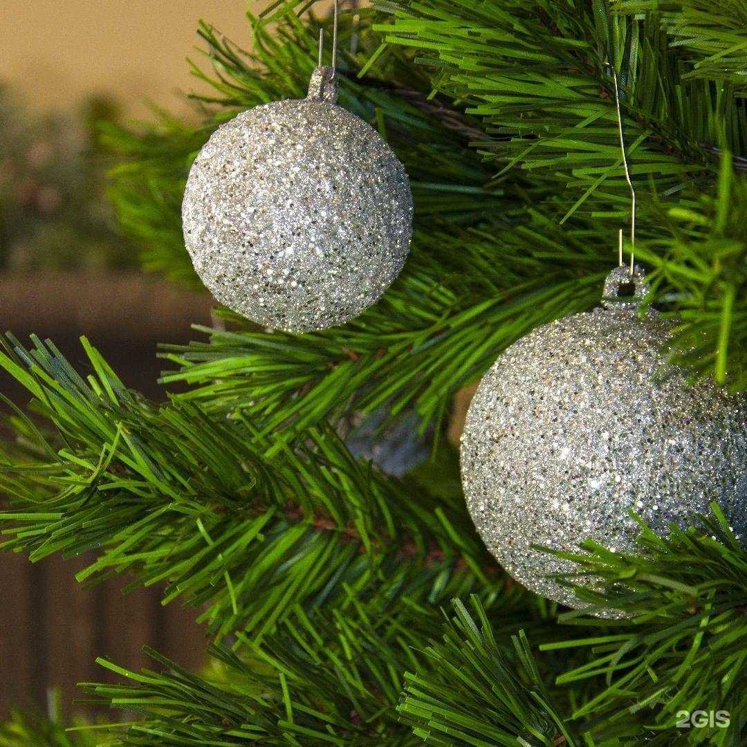 Отзывы на компанию Ники в Пензе c фото