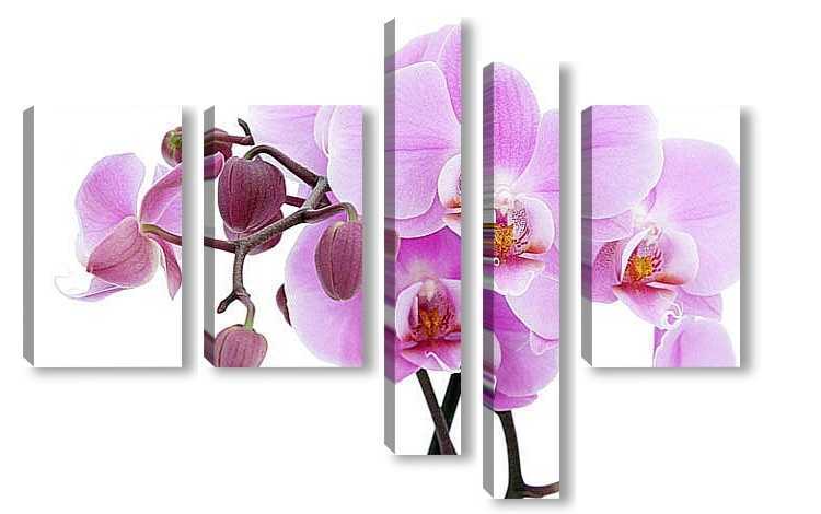 Отзывы на компанию Сибирь-Постер в Омске c фото