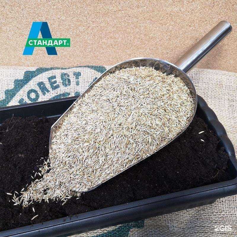 Отзывы на компанию А-Стандарт в Одинцове c фото