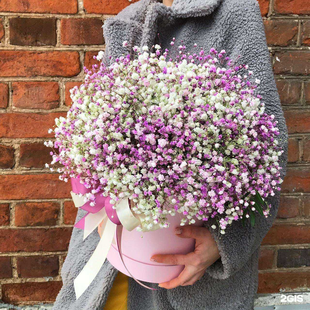 Отзывы на компанию 1+1 в г. Кострома c фото