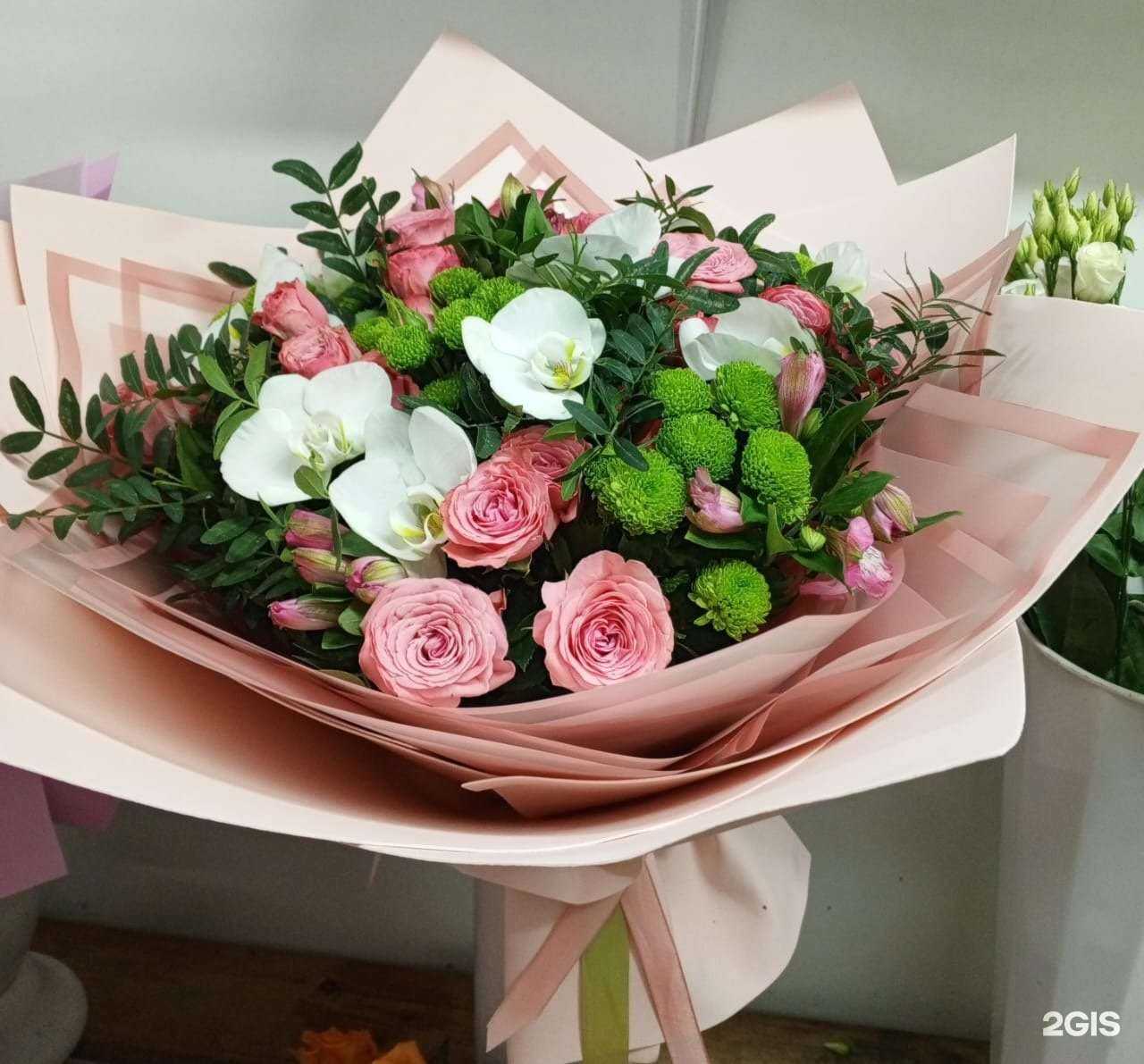 Отзывы на компанию Голле галла в Барнауле c фото