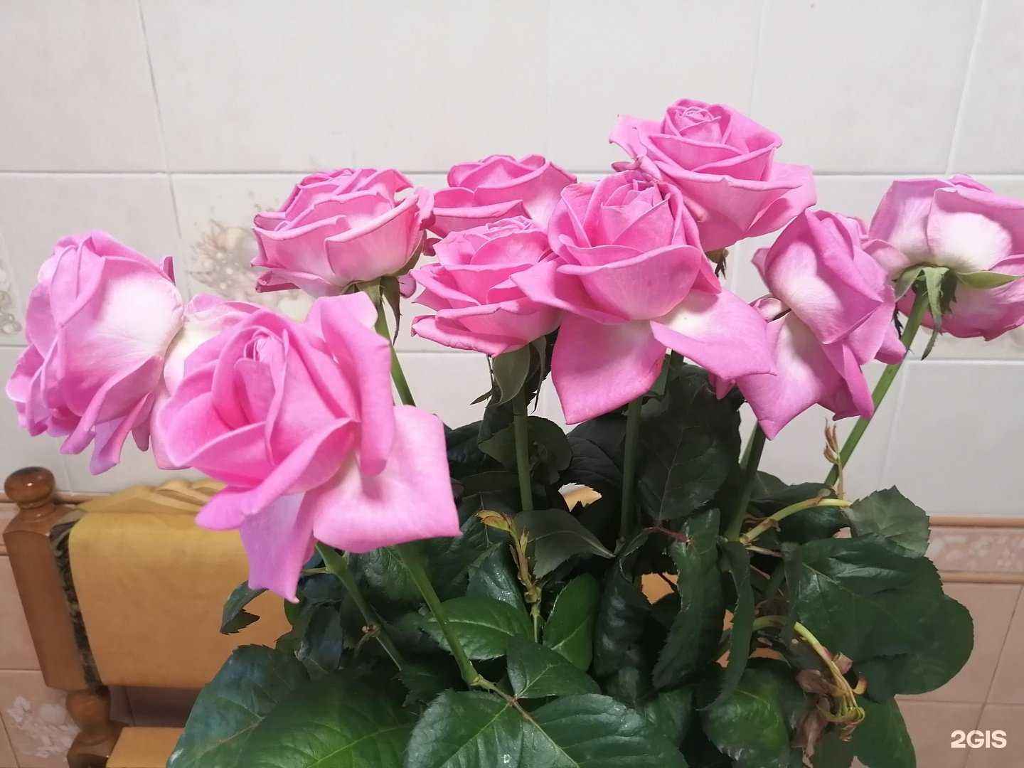 Отзывы на компанию BotaniC в г. Нефтеюганск c фото