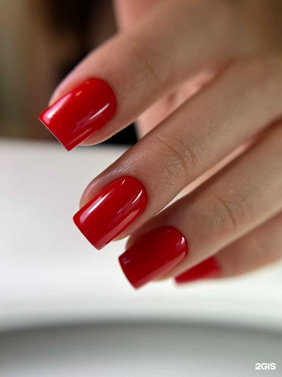 Отзывы на компанию Lalya в Новосибирске c фото