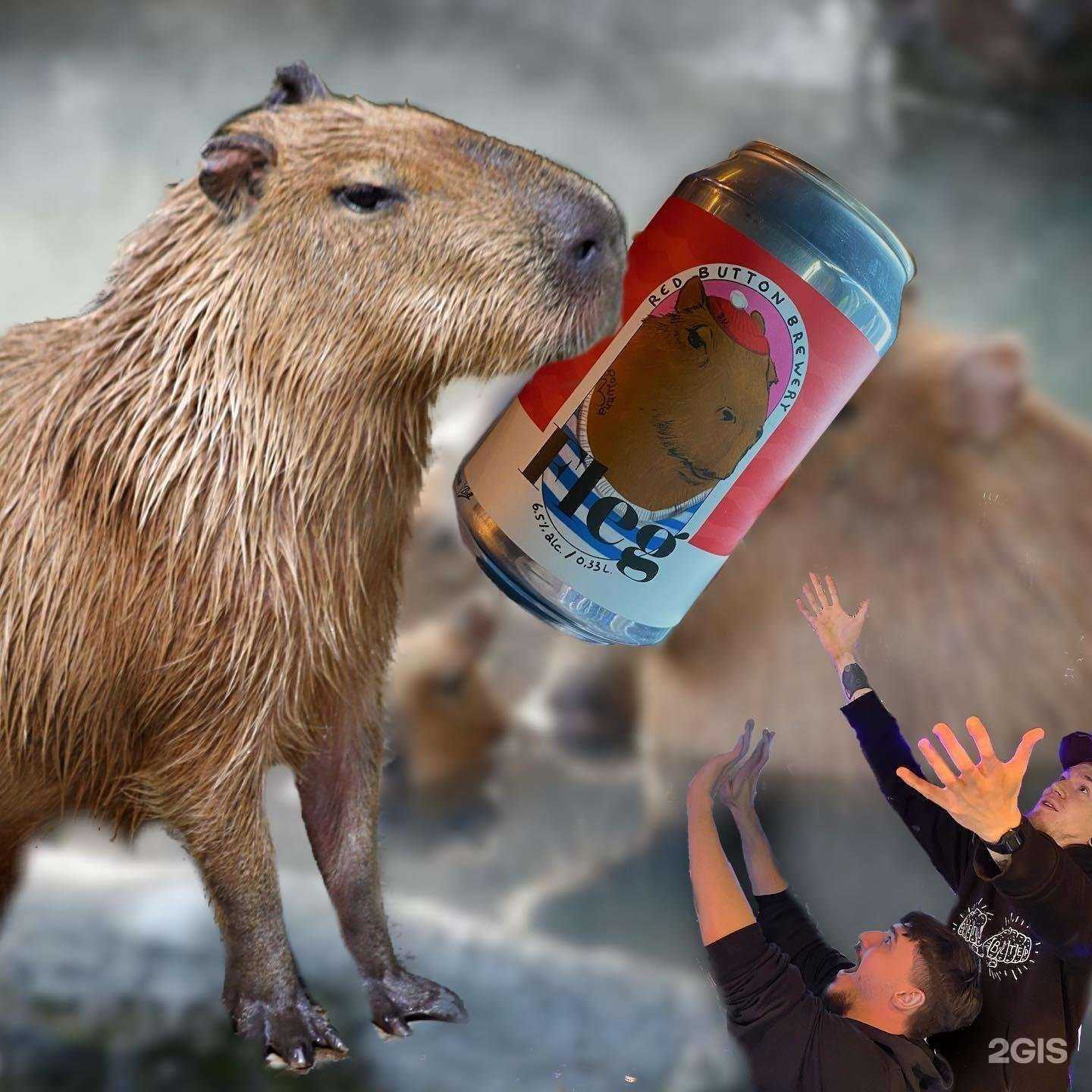 Отзывы на компанию Wavespot в Астрахани c фото