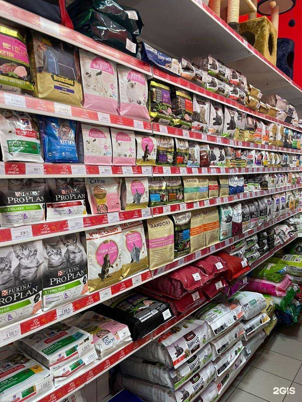 Отзывы на компанию Zveruga.net в г. Сочи c фото