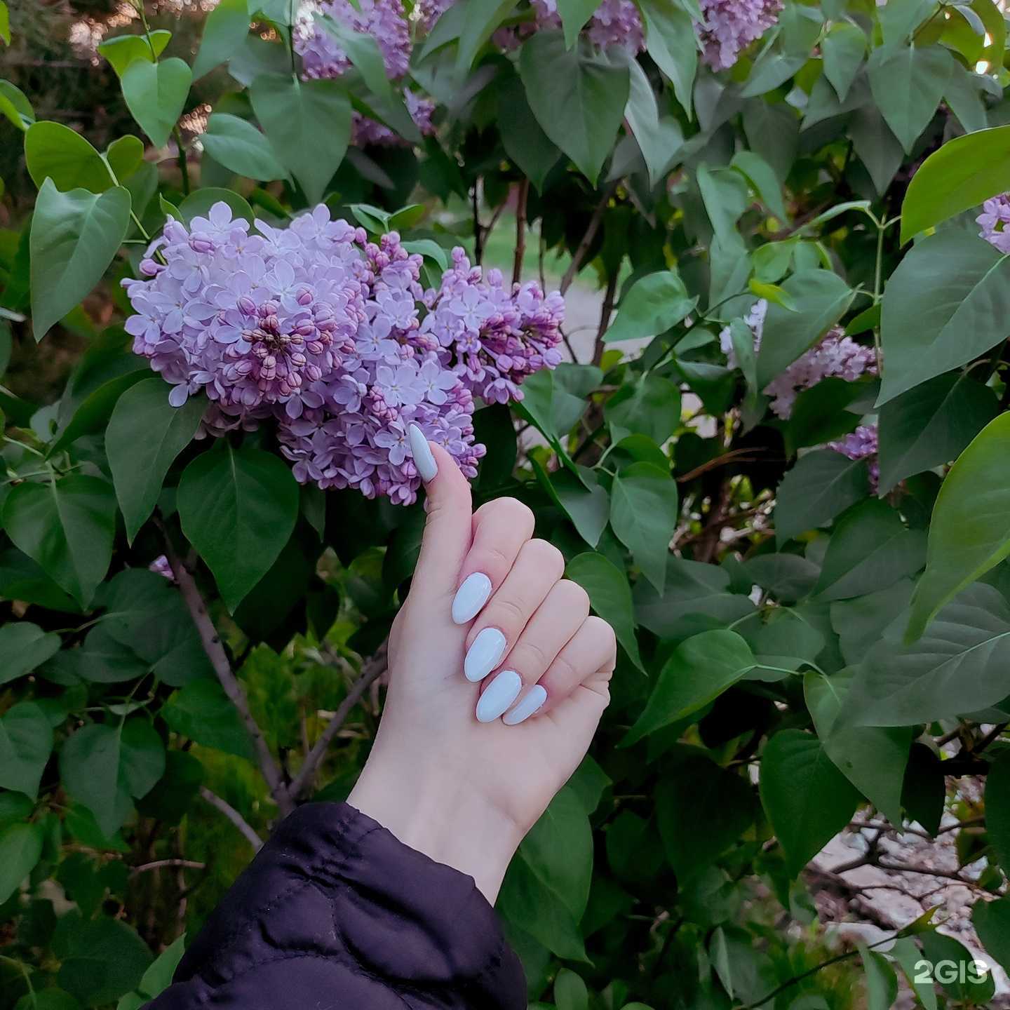 Отзывы на компанию Unimaxs в Красноярске c фото