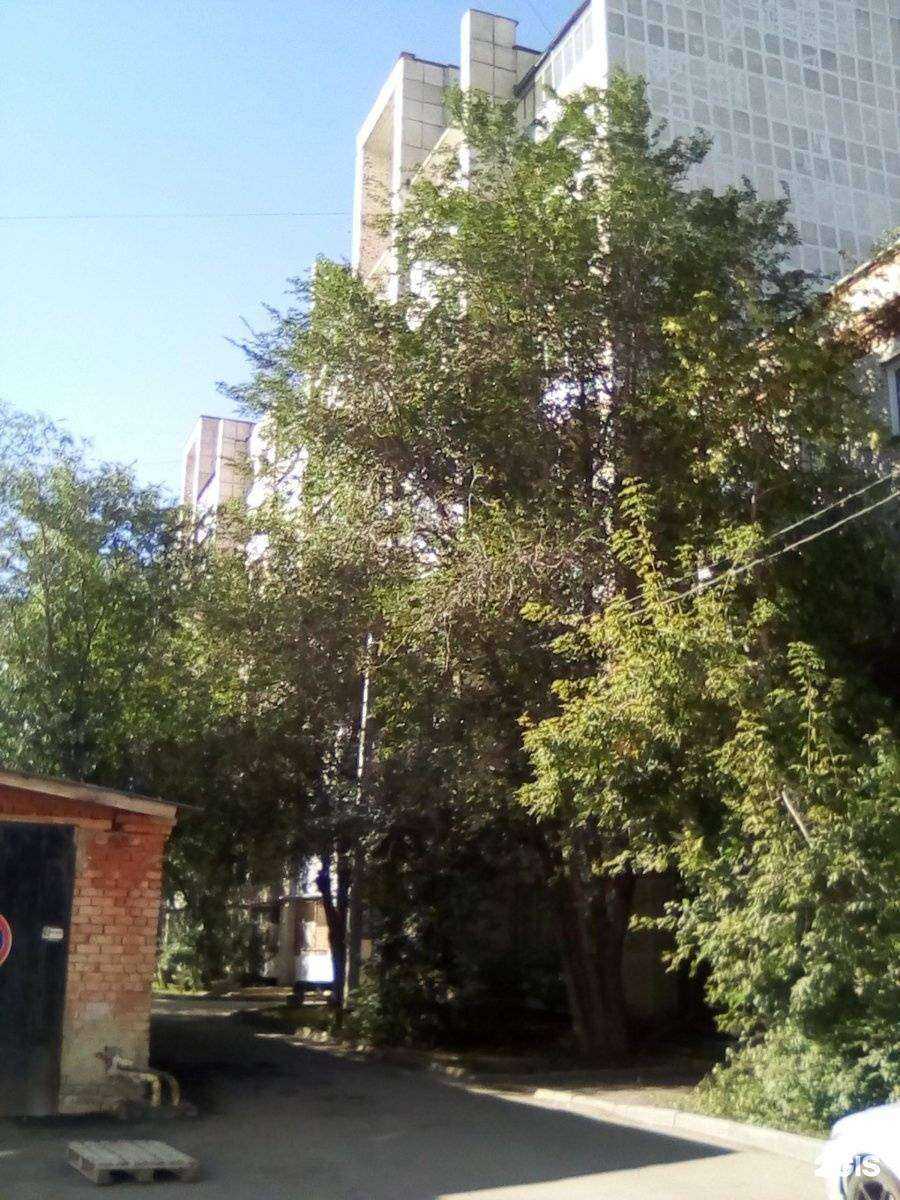 Отзывы на компанию Athletics Stars в г. Челябинск c фото