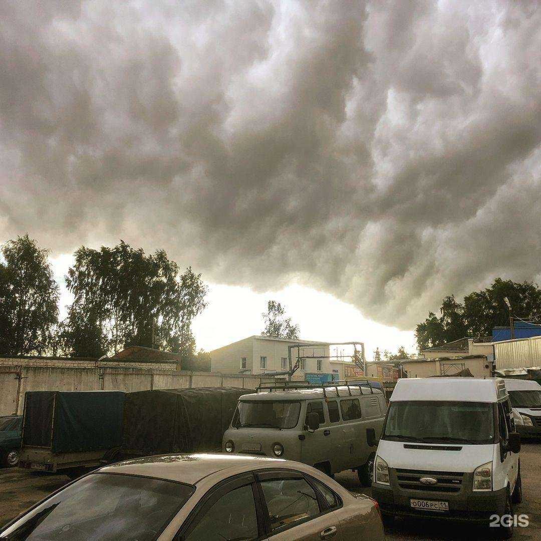 Отзывы на компанию Подорожник в г. Сыктывкар c фото