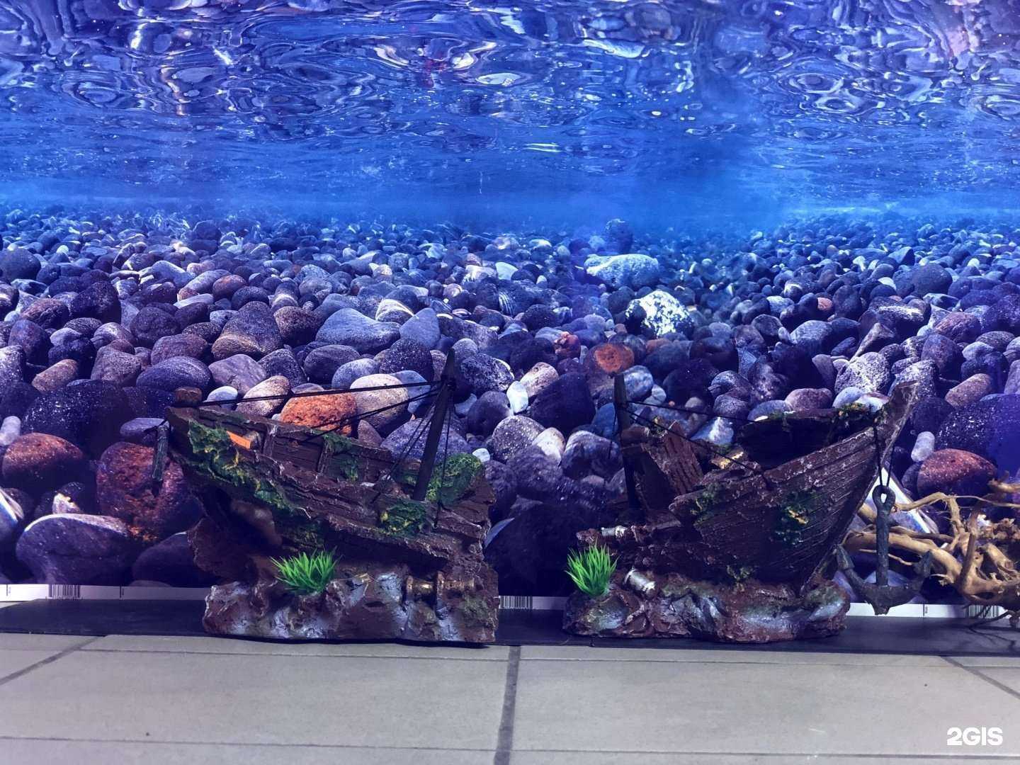 Отзывы на компанию Глубина в г. Красноярск c фото