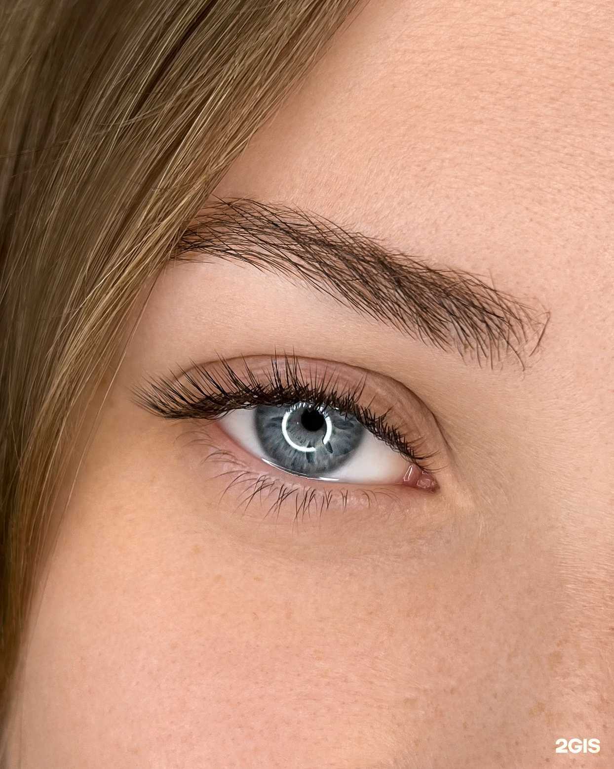 Отзывы на компанию Vita lashes в Нижнем Новгороде c фото