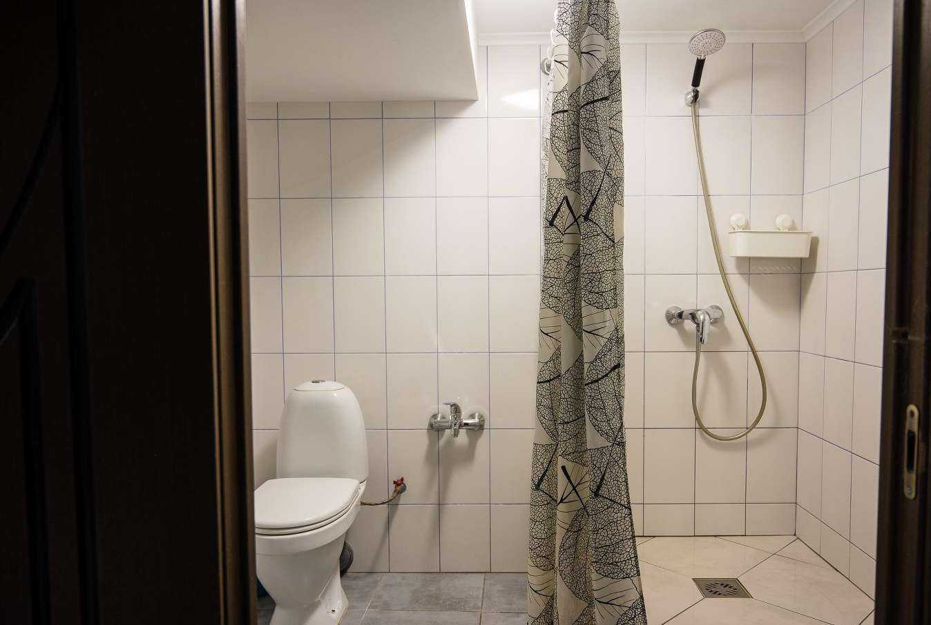 Отзывы на компанию Шишки в г. Томск c фото