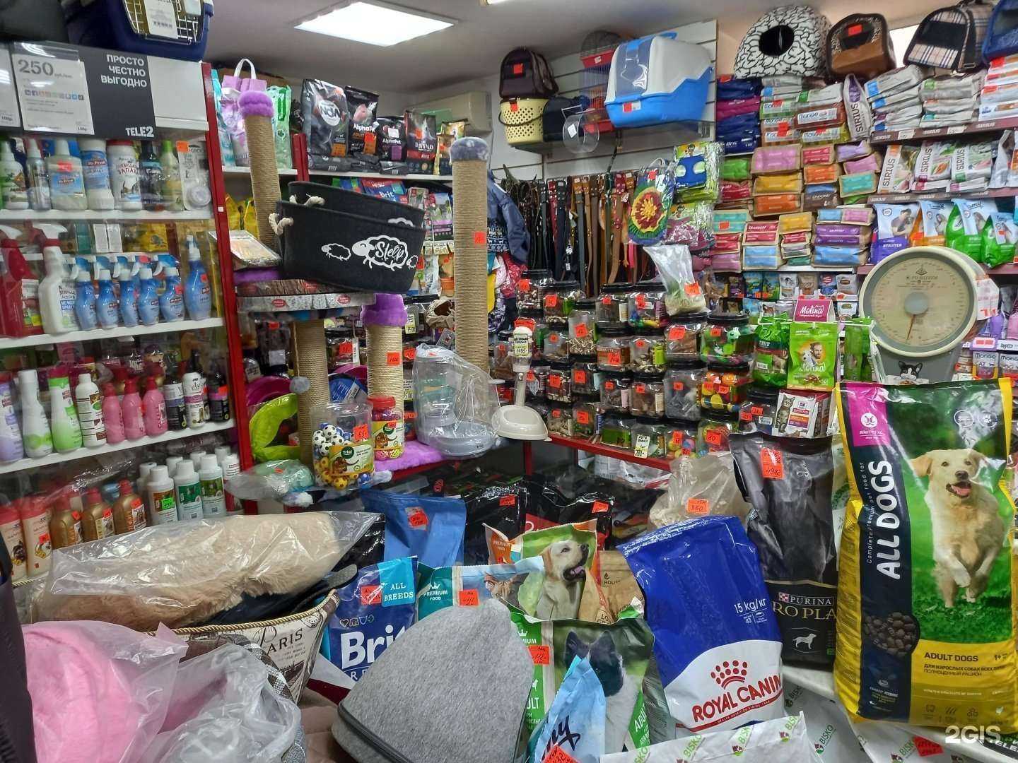 Отзывы на компанию Зоомагазин в г. Иваново c фото