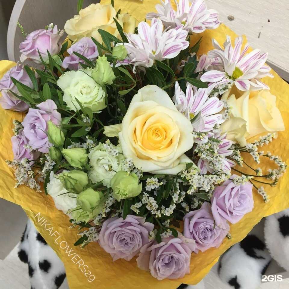 Отзывы на компанию Ника в Архангельске c фото