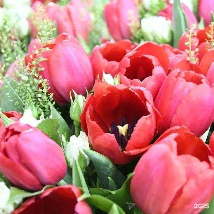 Отзывы на компанию Уральский государственный аграрный университет в Екатеринбурге c фото