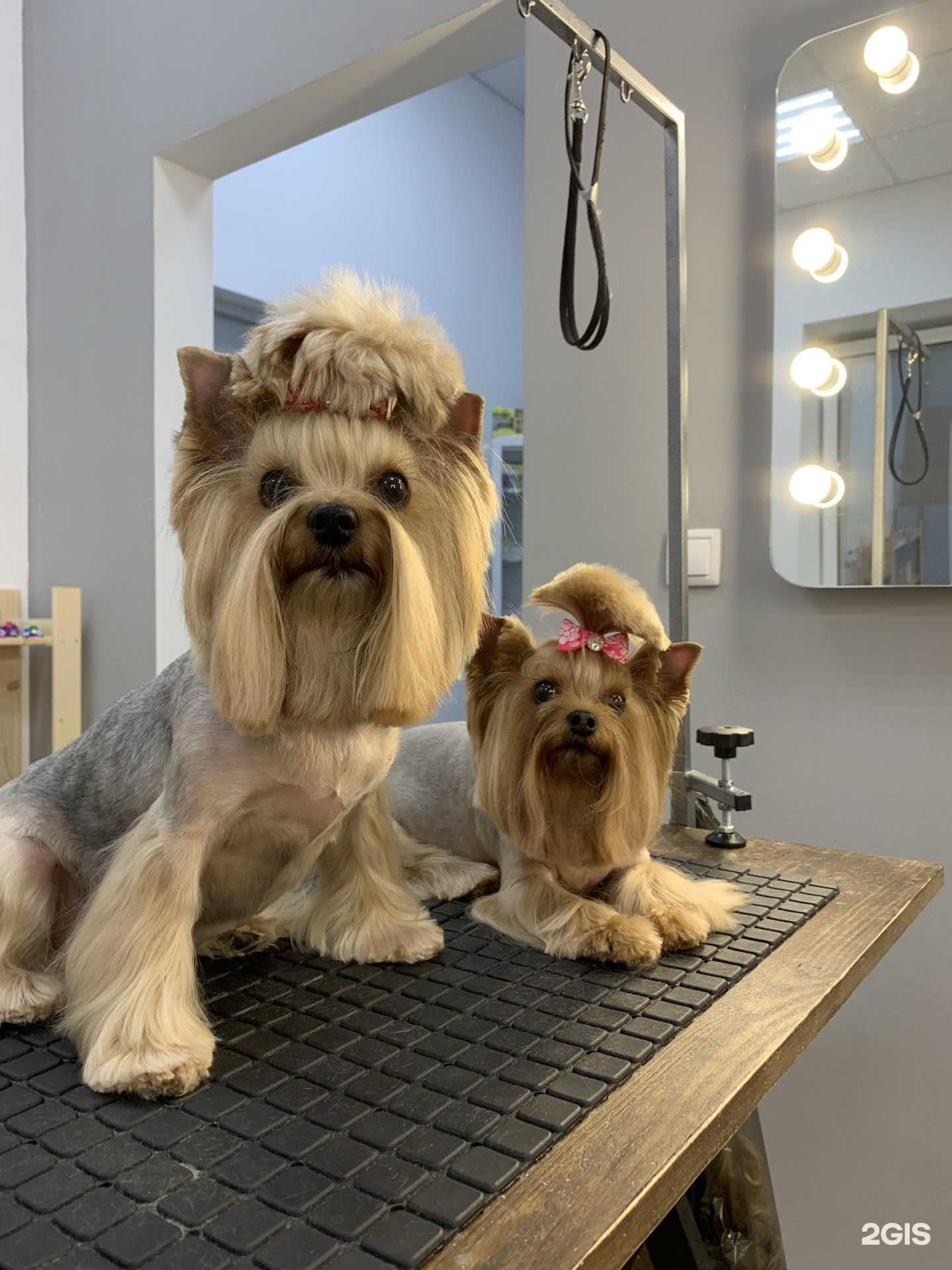 Отзывы на компанию Красотка в г. Тюмень c фото