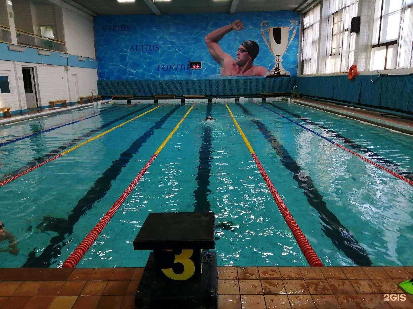 Отзывы на компанию СШОР Олимпийский в г. Набережные Челны c фото