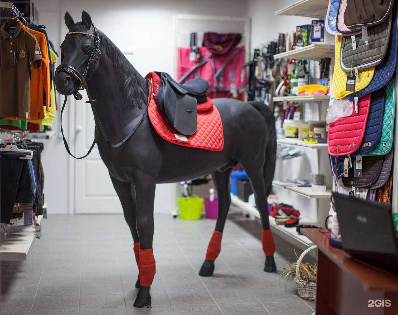 Отзывы на компанию Конная лавка в г. Тула c фото